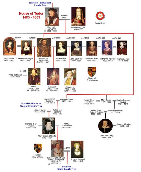 the tudor family line|tudor dynasty chart.